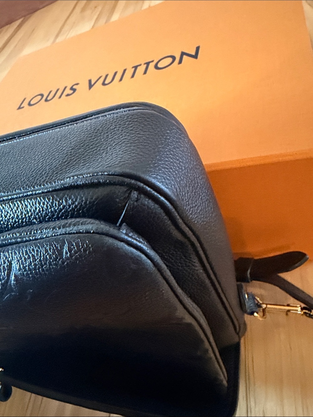 Louis Vuitton Black Empreinte Pochette Metis Crossbody Bag with Gold Hardware - Picture 12 of 14